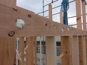 IMG_20230418_133049